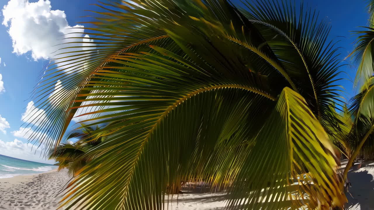 playa tropical con palmeras