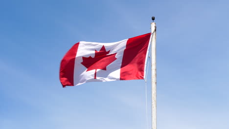 Canadian-Flag-Waving-on-Pole,-Close-Up-Static,-Sky-Background