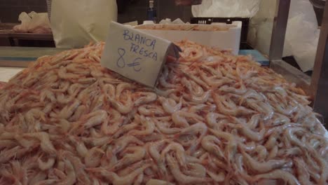 Heap-of-fresh-white-shrimp-for-sale-at-market,-Slow-Motion-Close-Up