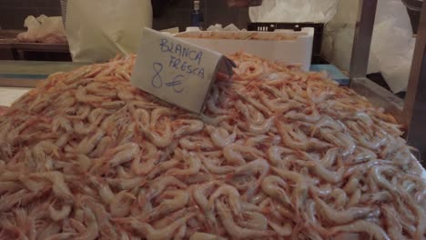 montón de camarones blancos frescos a la venta en el mercado, cámara lenta de cerca