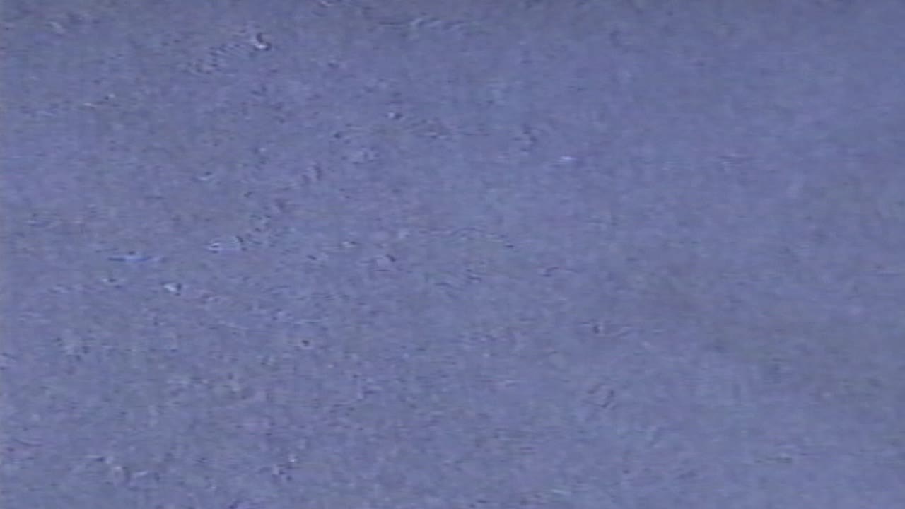 Blank VHS screen with blue static texture