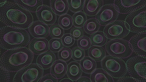 Incredible-symmetrical-pattern-of-colorful-circles-on-black-background