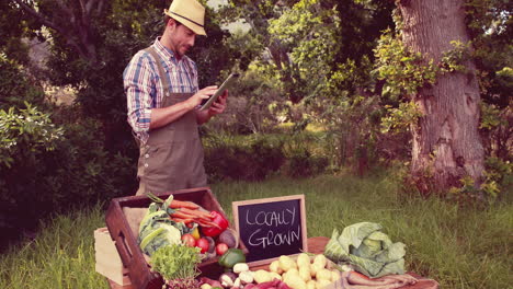 Agricultor-Vendiendo-Verduras-Orgánicas-En-El-Mercado.