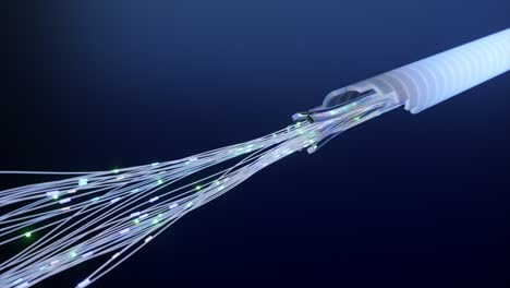 fiber optic cable close-up