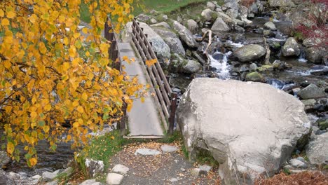 Pasarela-De-Madera-Fresca-Que-Salpica-El-Río-A-Través-De-Las-Hojas-Doradas-Del-árbol-Del-Otoño-Dolly-Izquierda