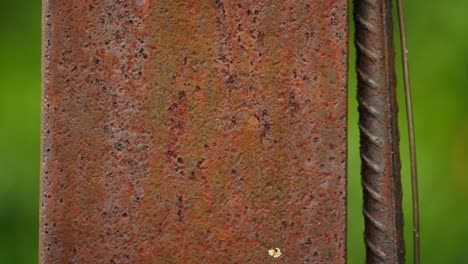 Close-up-rusty-texture,-iron-pillar-with-wire-and-metal-rebar,-shallow-focus-against-green-background