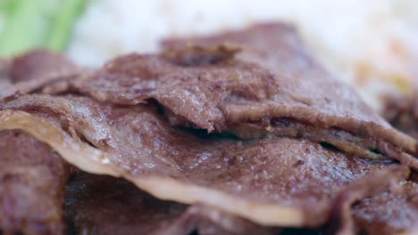 close-up of grilled meat slices