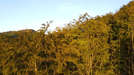 Volar-Sobre-Los-árboles-En-El-Bosque-Con-Vistas-A-La-Presa-En-Medio-De-Una-Zona-Montañosa-Con-Colinas-Y-Bosques-Cercanos