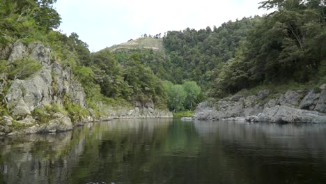 hermoso río pelorus azul claro y prístino, nueva zelanda con rocas y exuberante bosque nativo en el fondo