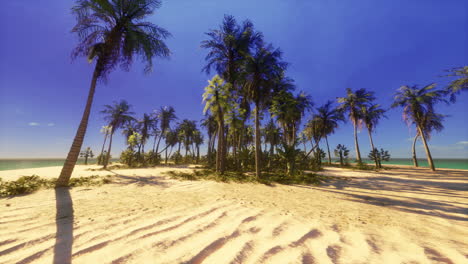 a tropical paradise beach with palm trees and crystal clear ocean waters