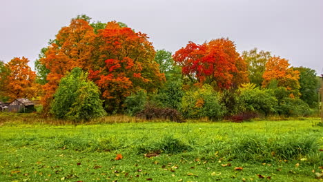 Timelapse-De-Temperaturas-Climáticas-De-Primavera-De-Otoño-En-Constante-Cambio