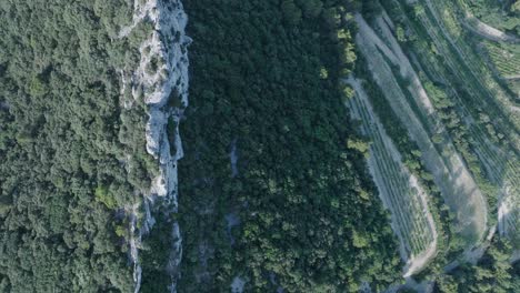 Luftdrohne-Von-Oben-Nach-Unten-Geschossen-Vaucluse-Provence-Laces-Montmirail-Frankreich