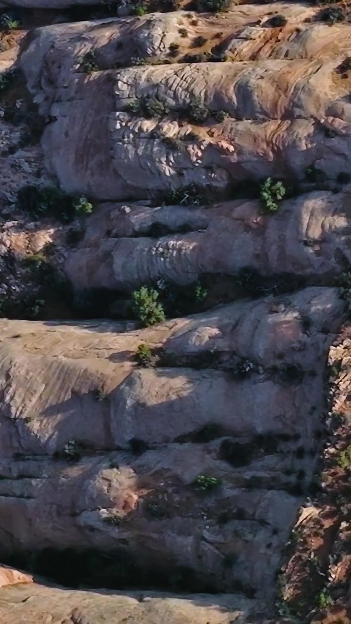 Il paesaggio del Mojave presenta terreno roccioso e piante sparse.