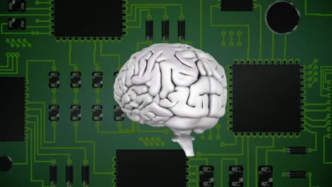 brain and digital circuit