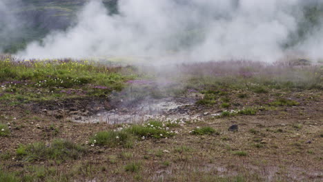 vista a nivel del suelo de un pequeño géiser que bombea vapor de la tierra, islandia