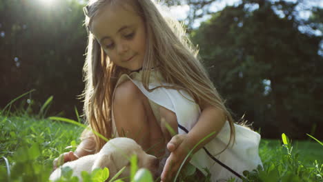 close-up view of a small cute labrador puppy running on the green grass in the park, then a blonde girl approachs and playing with the dog