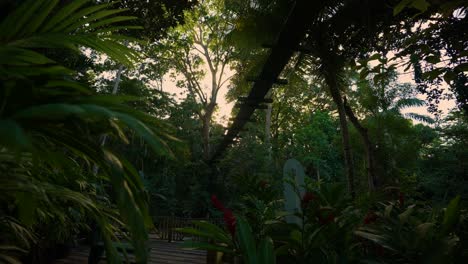 pedestrian suspension  bridge in jamaica | ocho rios coast | dunn’s river falls & park | tranquility garden.