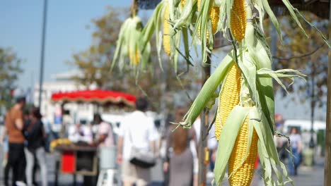 street corn in istanbul