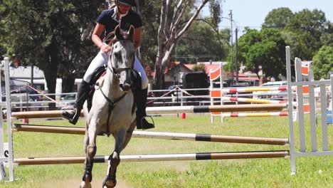 horse and rider completing a show jumping course