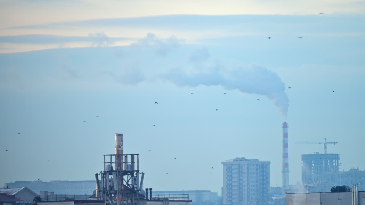 City rooftops on a cold winter day with multiple chimneys releasing white smoke into a pale sky