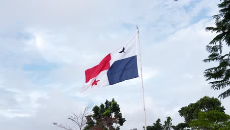 panama: the national flag, waving in the wind at a park, surrounded by trees