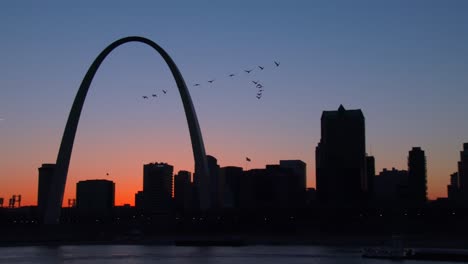 birds in migration fly past the st louis arch at dusk