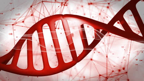 dna strand with network connections, processing scientific data in animation