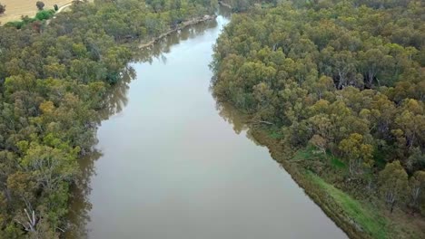 Drohnenaufnahmen-über-Dem-Murray-River-Und-Dem-Eukalyptuswald-Südlich-Von-Corowa,-Australien