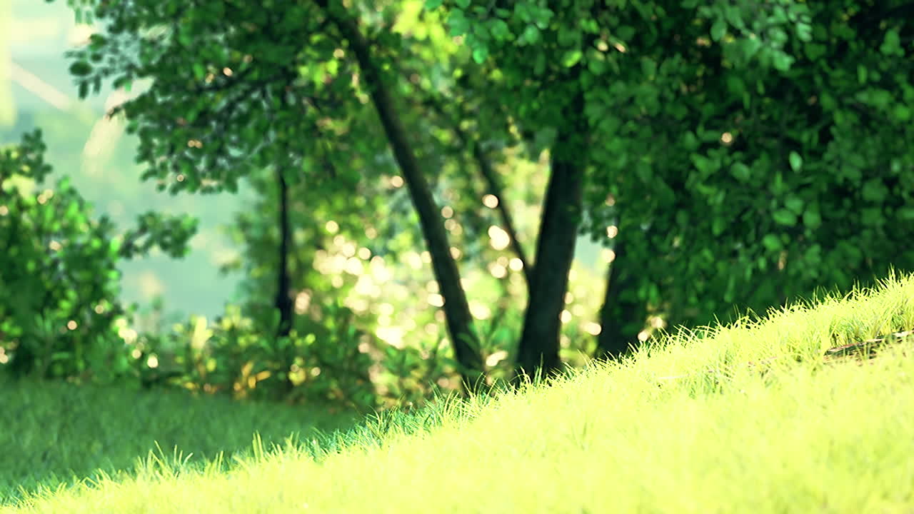 빛 이 언덕 이 있는 초원 의 나무 들 을 가로질러 필터링 하고 있다