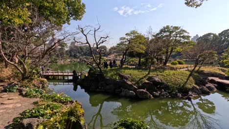 peaceful scenery with water, trees, and bridge