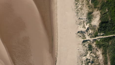 dense green forest at the white sand beach at the coastline in kamperland town of dutch province of zeeland