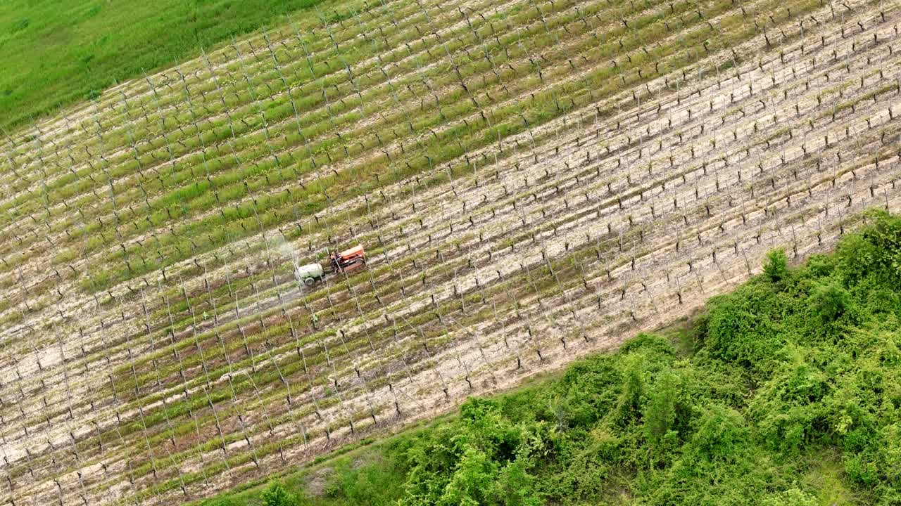 Aerial orbit around a crawled tractor moving through Val d’Arda vineyards, spraying treatments between neatly aligned grapevines on a hillside, slow motion shot