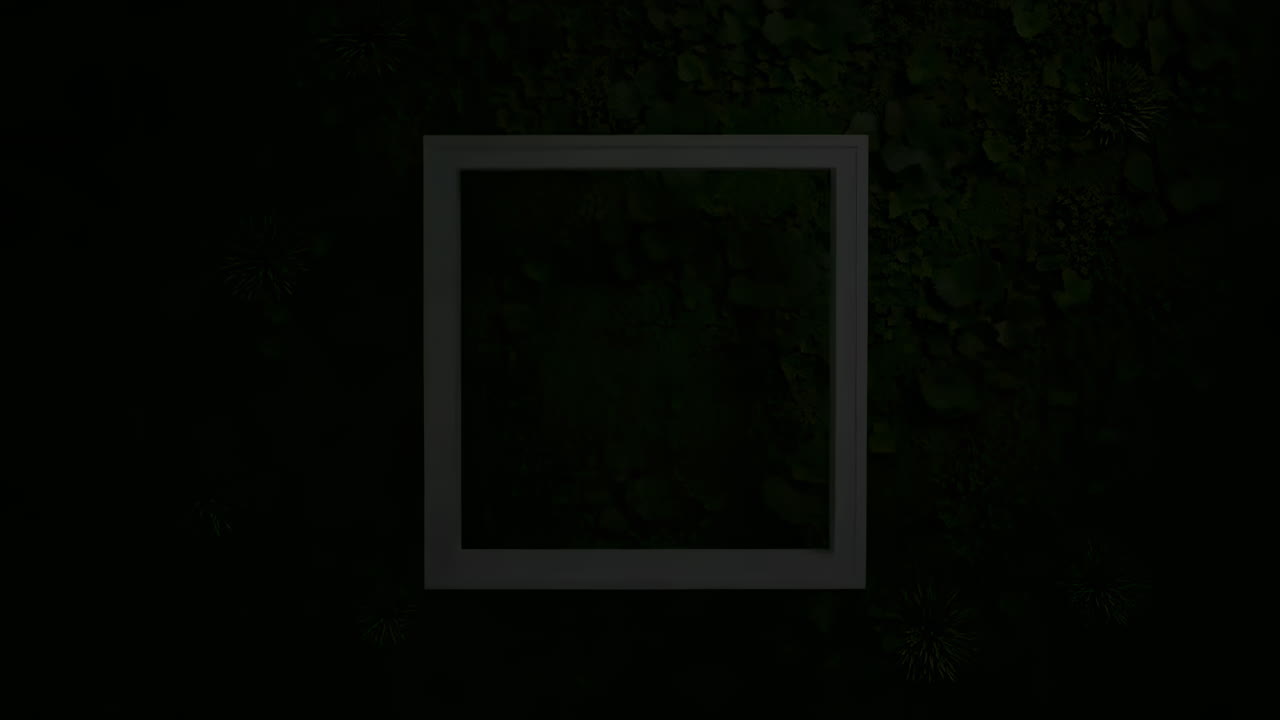Green wall with a square frame