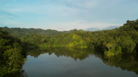 vista aérea sobre la laguna verde y el reflejo de los árboles de la selva forestal