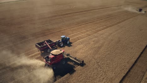 Ein-Landwirtschaftlicher-Mähdrescher-Erntet-Den-Weizen-Auf-Einem-Großen-Landwirtschaftlichen-Feld