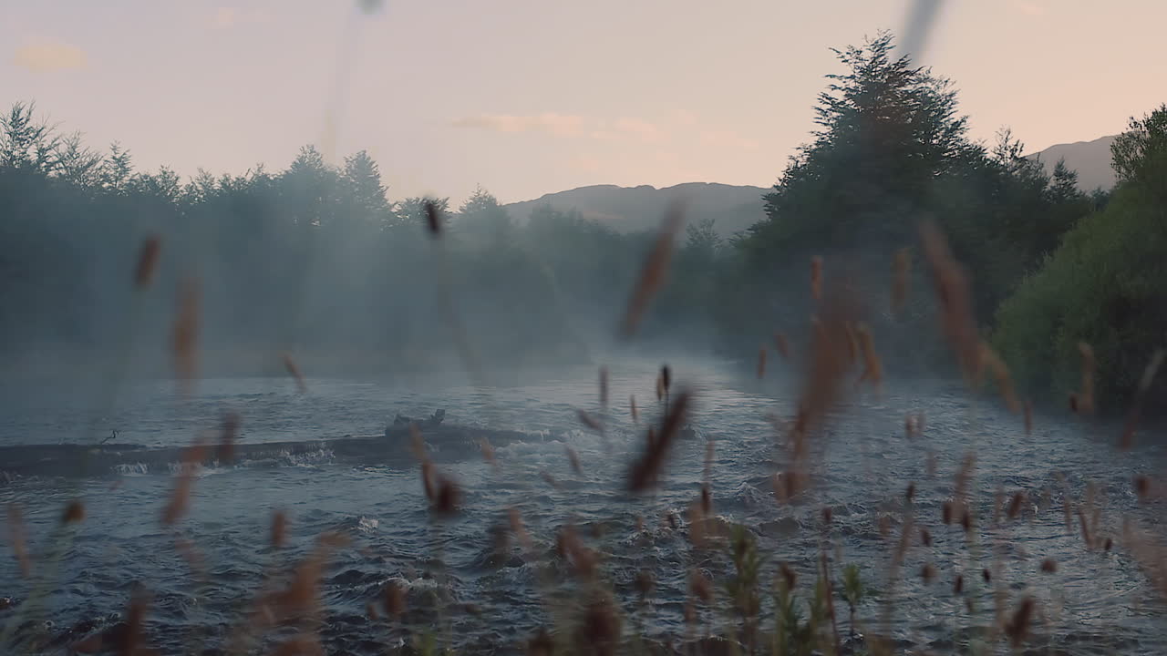 석양에 물이 강에 흐른다