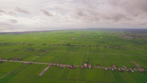 Panoramablick-Auf-Das-Grüne-Reisfeld-Im-Ländlichen-Tanjung-Karang,-Malaysia