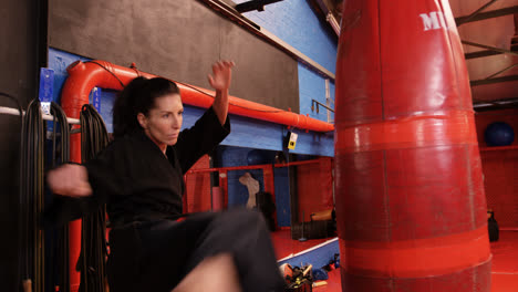 Karate player kicking a boxing bag