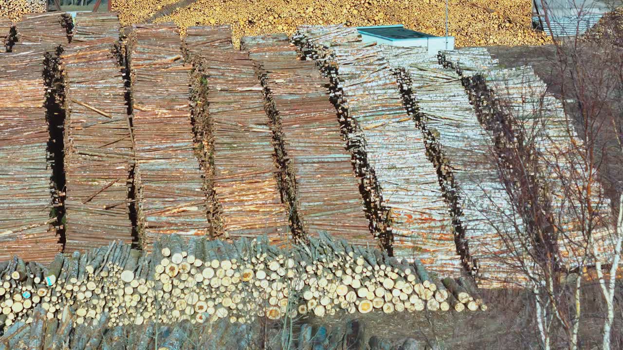 Stacked logs in an aerial shot in Latvia