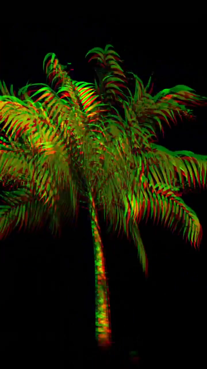 Palma colorata 4K