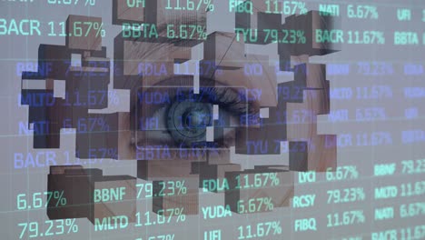 Animation-of-financial-data-processing-and-wooden-blocks-over-woman's-eye-in-background