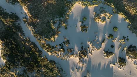 Aerial-top-down-shot-of-sandy-dunes-with-bush-and-plants-at-Hoek-van-Holland,-Netherlands-at-sunset