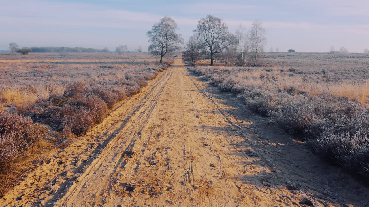 carretera escénica de tierra vacía durante el invierno soleado