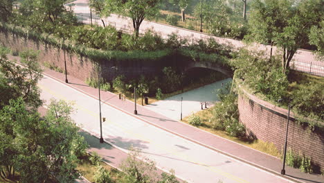 Asphaltstraße-Und-Grüne-Bäume-Im-Park