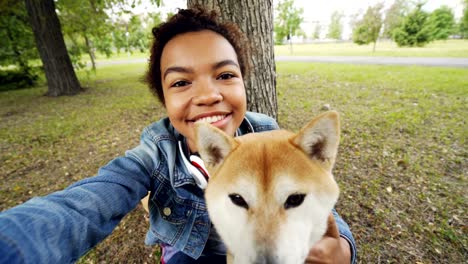 point of view shot of cheerful african american teenage girl taking selfie with adorable shiba inu dog holding camera, posing and looking at camera. people and animals concept.