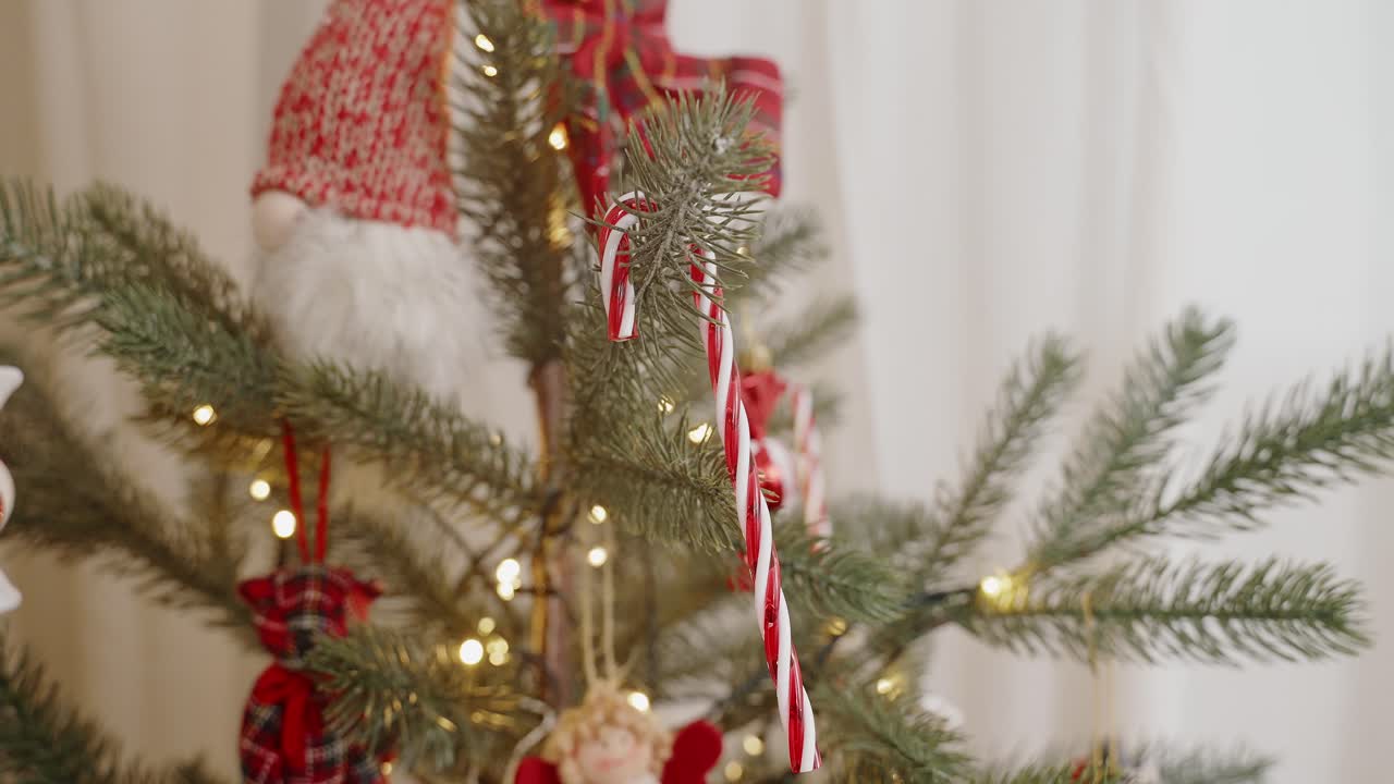 bastones de caramelo en la rama festiva del árbol de navidad