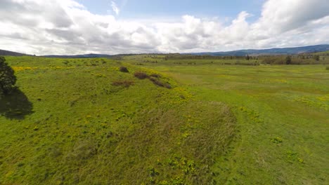 an aerial rising view of grasslands in the pacific northwest