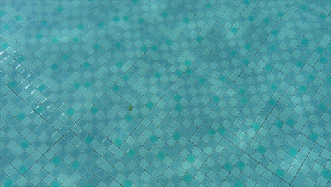 ripple-surface-swimming-pool-texture-for-background