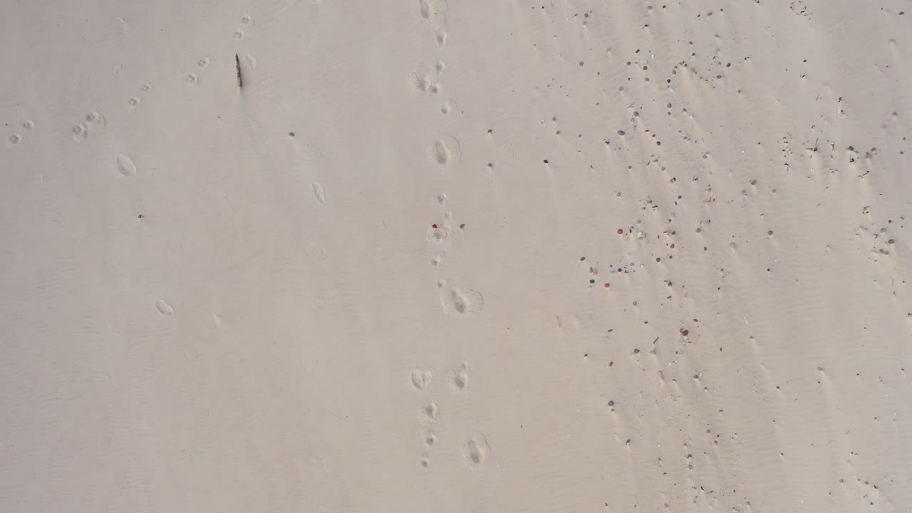 공중:모래에 발자국이 있는 모래 해변의 평면도