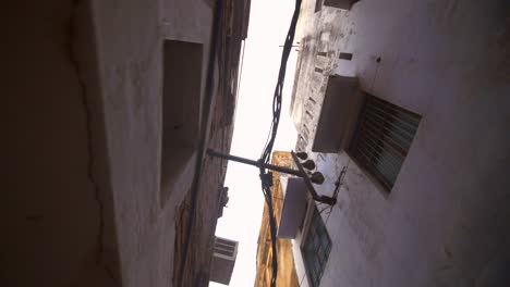 mono escalando la pared del callejón